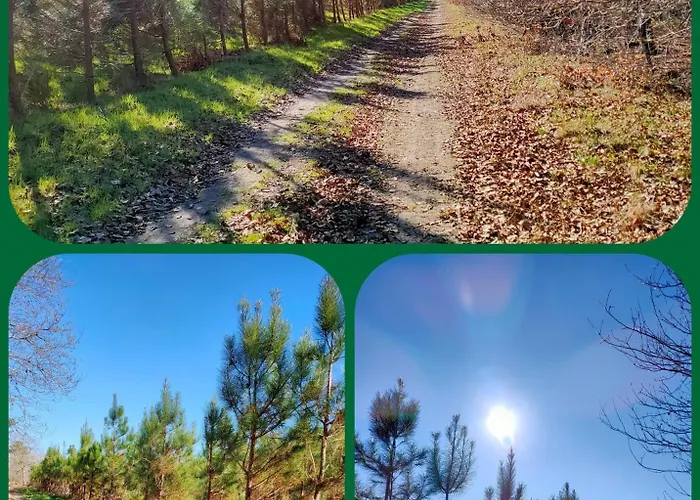 Hotes Landes Δωμάτια σε οικογενειακή κατοικία *